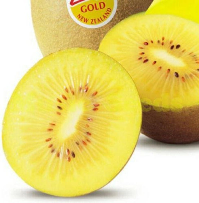kiwifruit- gold | CityGreen